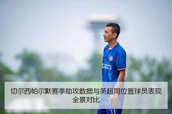 切尔西帕尔默赛季助攻数据与英超同位置球员表现全景对比